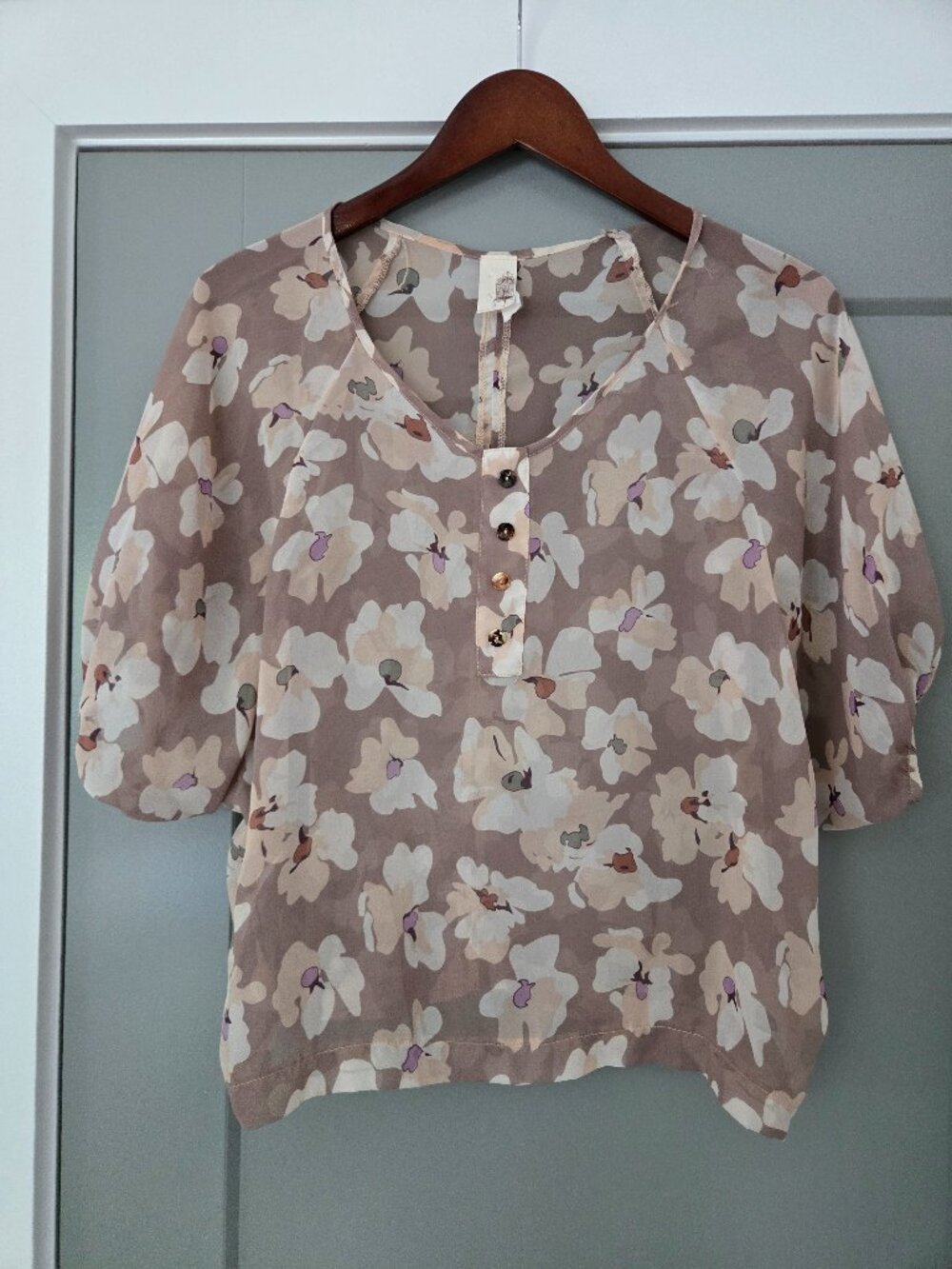 Shear Short-sleeve Blouse